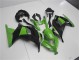 Kawasaki EX300 2013-2016 - Verde Negro Kawasaki EX300 2013-2016 - Verde Negro