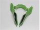 Kawasaki EX300 2013-2016 - Verde Negro Kawasaki EX300 2013-2016 - Verde Negro