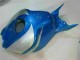 Honda CBR 1000 RR 2006-2007 - Azul Plata