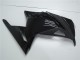 Kawasaki EX300 2013-2016 - Brillante Negro Mate