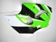 Kawasaki ZX6R 2000-2002 - Verde Blanco Negro