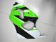 Kawasaki ZX6R 2000-2002 - Verde Blanco Negro