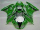 Kawasaki ZX6R 2009-2012 - Verde Negro LeoVince Kawasaki ZX6R 2009-2012 - Verde Negro LeoVince