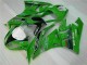 Kawasaki ZX6R 2009-2012 - Verde Negro LeoVince Kawasaki ZX6R 2009-2012 - Verde Negro LeoVince