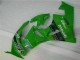 Kawasaki ZX6R 2009-2012 - Verde Negro LeoVince Kawasaki ZX6R 2009-2012 - Verde Negro LeoVince