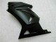 Kawasaki EX250 2008-2012 - Negro Mate