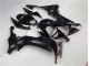 Kawasaki ZX10R 2008-2010 - Brillante Negro Kawasaki ZX10R 2008-2010 - Brillante Negro